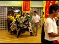 www.liongogo.com 慶回歸綜合晚會及國術表演