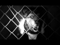 Visita la video gallery