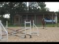 videos de lady ginastica 2