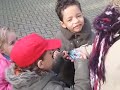 Ouwehands dierenpark