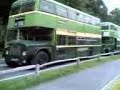 amberley line up of buses
