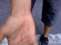 videos de COMEPIEDRA DEL CERRO 5 .MP4