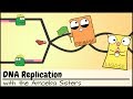 amoeba sisters enzymes recap answers