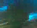 Mono  Nikitaman Live Gras ist legal