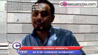 CON MIL 500 HUELLAS DE CANES PEDIRAN ALTO AL EXTERMINIO DE PERROS CALLEJEROS EN EL CANI DE IRAPUATO.