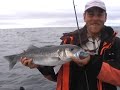 pêche au bar