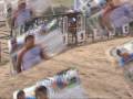 28-12-08 Carrera de galgos 13