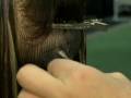 Three-Types-of-Hair-