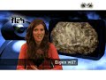 ScienceFlash 27 - 17 april \