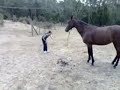 1st natural horsemanship diary 23march 2007