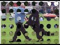 Newfoundland dogs, dance, carting and skateboading