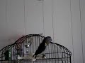 Alf does a Half Spin! Alf does a Half Spin!