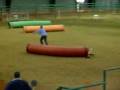 videos de Brad's 7th NADAC Novice Tunneler's Q