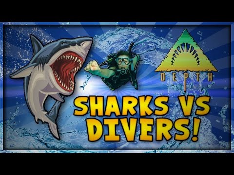 how to treat a shark zelda