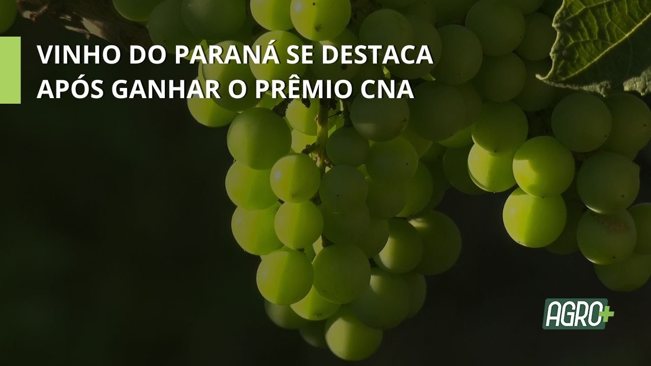 Vinho Betiatto | Feito com Arte Ep. 5