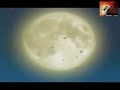 Sasuke_Mohajer_clip