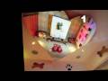 Humanization of Pets - From Urinals for Dogs to Doggie Beer (THTV)
