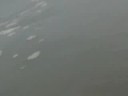 annother random wave video