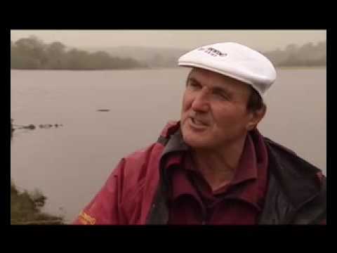 That's Fishing! - match fishing ...