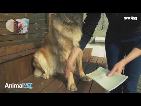 Snögg® AnimalVet