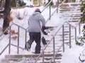 Snowboarding - Pheel This Teaser 2 - Pheel Good Inc