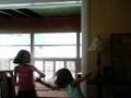 cat fights