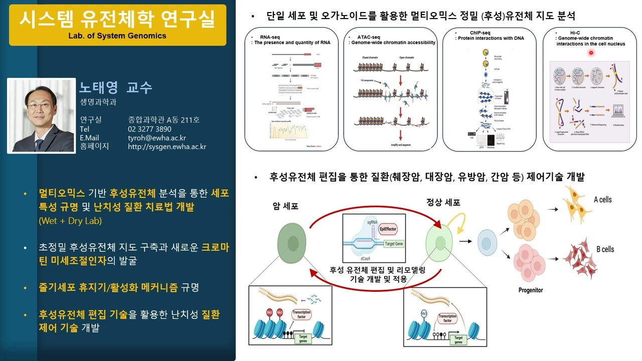 시스템 유전체학 연구실 <노태영 교수>