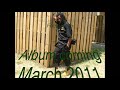 18 Karat Reggae Gold 2011