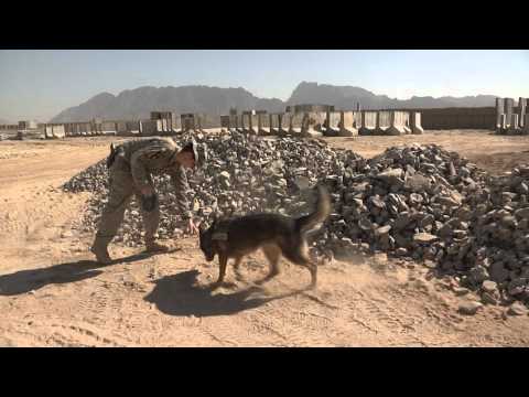 A Video that Hits Home 0 A Video that Hits Home