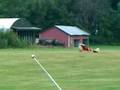 videos de Bud Coffin Fokker C 1 at Old Rhinebeck Aerodrome