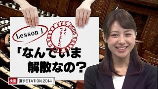 「なんでいま解散?」テレ朝の林美沙希アナウンサーと学ぶ総選挙シリーズ