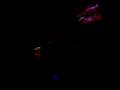 videos de Zensation Wack
