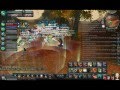 aika online osty raid