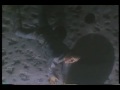 alien abduction part 1