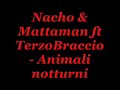 Nacho & Mattaman ft TerzoBraccio - Animali notturni