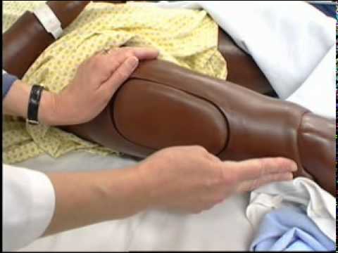how to locate vastus lateralis for im injection