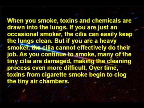 how to repair lungs