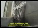 McDonalds uma questão deliciosa para você
