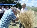 День поля в Донецкой обл., Добропольский р-н., ООО «Рута Плюс» День поля в Донецкой обл., Добропольский р-н., ООО «Рута Плюс»