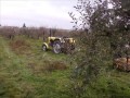 Zbiór jabłek ze szkoły zwóz ursusem c-330 i małym widlakiem zdjęcia i filmik z pracy c-330