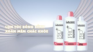 𝐔𝐨̂́𝐧 𝐋𝐚̣𝐧𝐡 𝐋𝐚𝐯𝐨𝐱 𝐏𝐫𝐨+Vừa Uốn Tạo Kiểu – Vừa Bảo Vệ Tóc Vượt Trội! 𝐔𝐨̂́𝐧 𝐋𝐚̣𝐧𝐡 𝐋𝐚𝐯𝐨𝐱 𝐏𝐫𝐨+Vừa Uốn Tạo Kiểu – Vừa Bảo Vệ Tóc Vượt Trội!