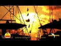 Sunset Marina - "The Daily Catch # 5" - 'Sunset's Beauty'