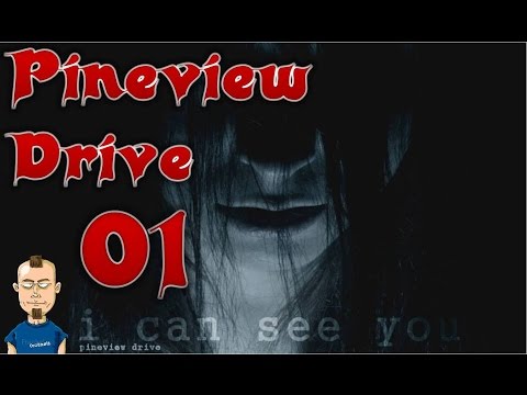 【ツ】 PINEVIEW DRIVE HOUSE OF HORROR mit Facecam #1 ★ Besoffen im Wald ★ Let's play Pineview Drive