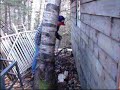 My Exciting Shed Moving Adventure!