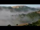 Nite, Fog and Sunset