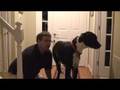 Wrigley. the Singing Great Dane
