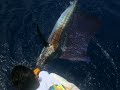 Big game fishing - cabo san lucas