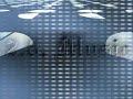 knowledge-davis-the-beam-soulja-boy-bboy-inspired.html