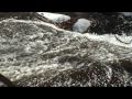 Agualuna. Videopoema perteneciente a la serie 