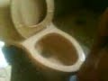 Poor Man\